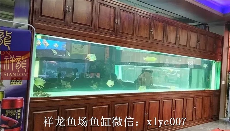 Temerloh Large aquarium customized 6M